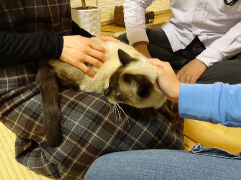 20131201031046afb.jpg