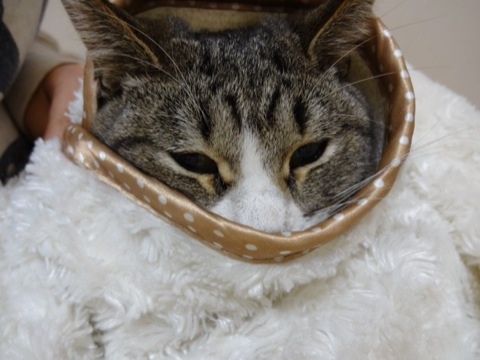 20131202175459244.jpg