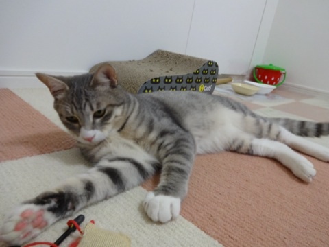201312021758417ef.jpg