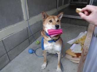 20131205210901d05.jpg