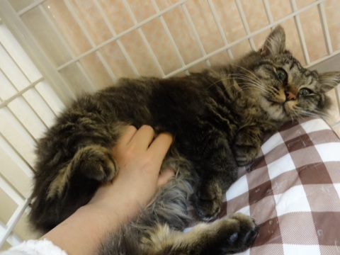 20131206205734ab8.jpg