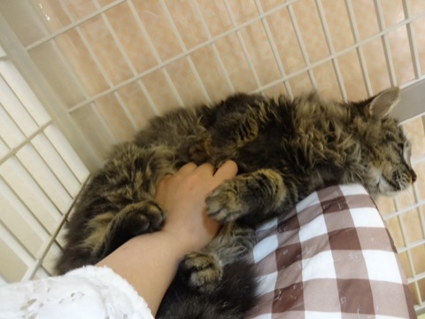 20131206205736d7f.jpg