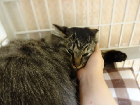 20131206205738ebd.jpg