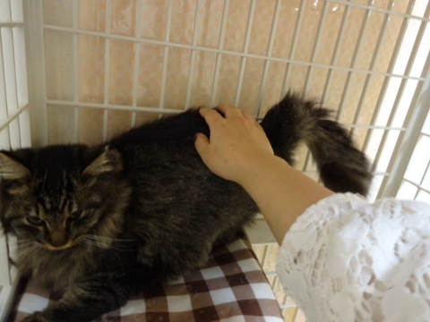 20131206205739f30.jpg