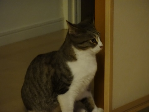 20131206205919108.jpg