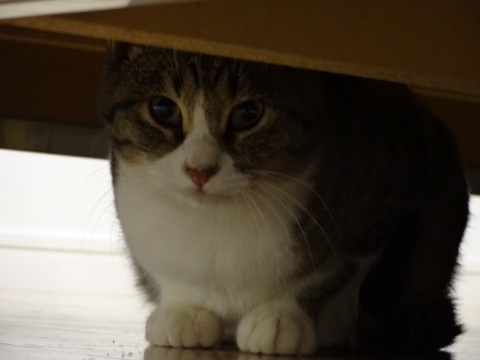 20131206205920182.jpg