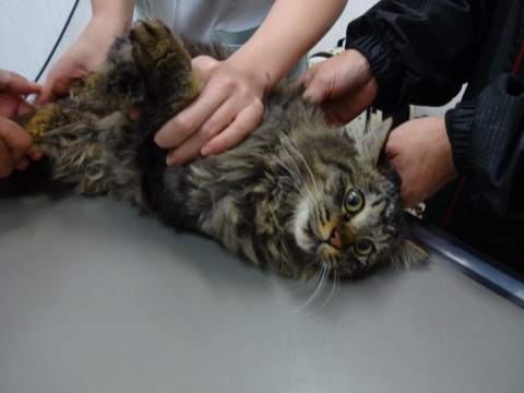 201312062102336c9.jpg