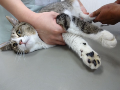 20131206210235312.jpg