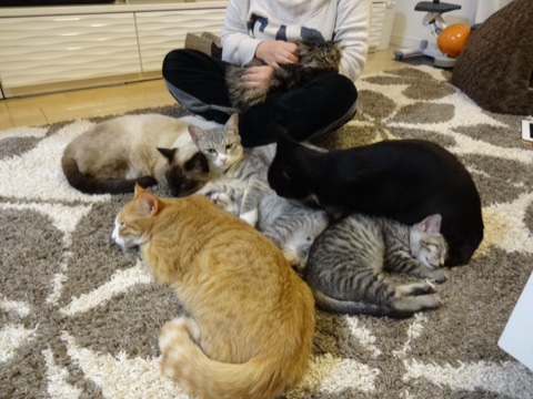 20131208232355df1.jpg