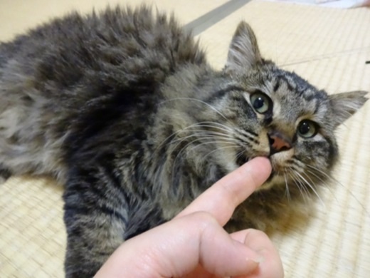 20131213195846ce7.jpg