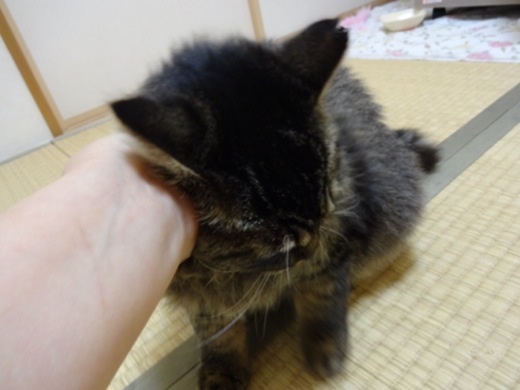 20131213200232e81.jpg