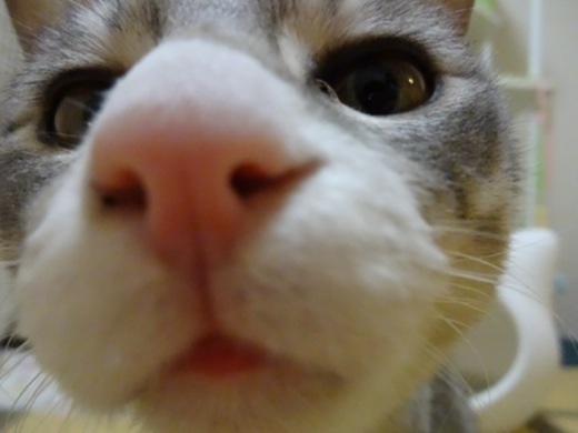 201312132017009d6.jpg
