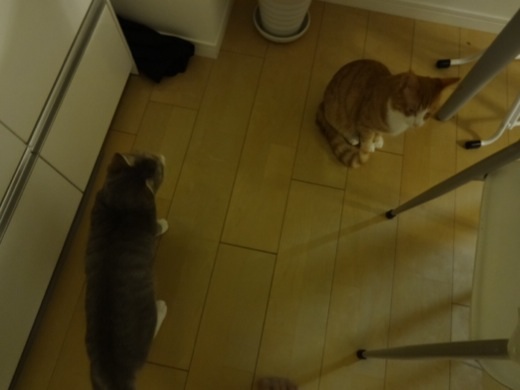20131213201703506.jpg