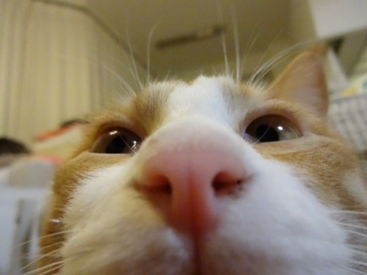 20131213201704265.jpg