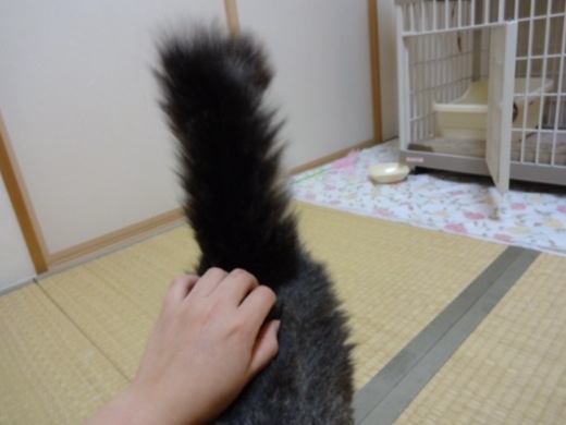20131213202007a32.jpg