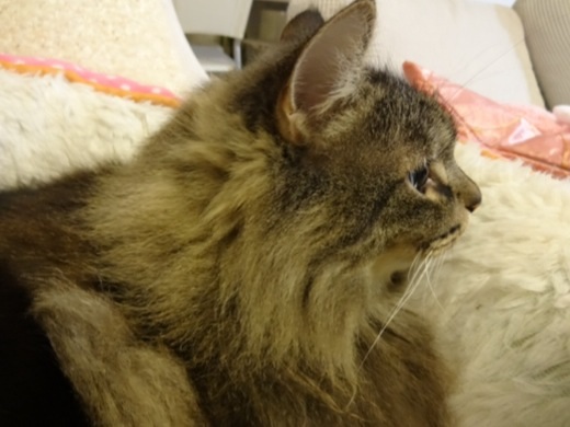 20131213202009756.jpg