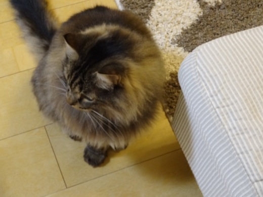 2013121320201244d.jpg