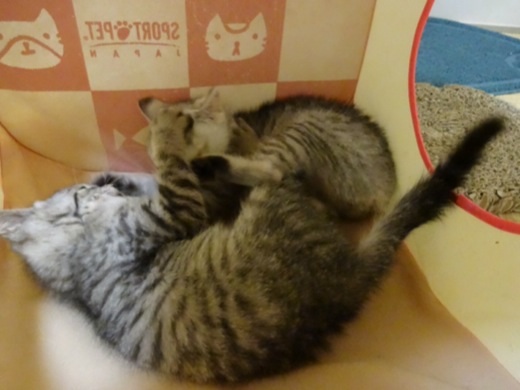 20131213202822fe2.jpg
