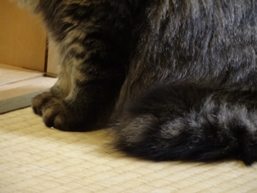 201312132028231cd.jpg