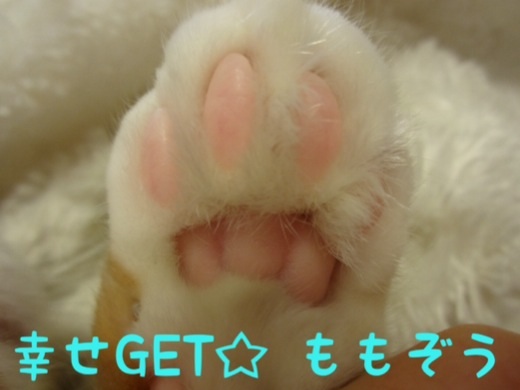 201312162351577ab.jpg