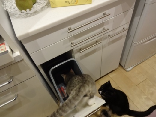 20131218224141306.jpg