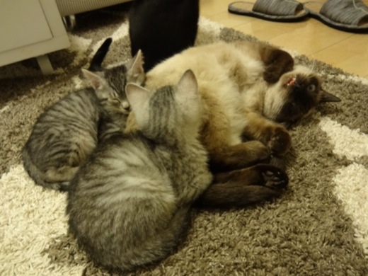 20131218224142523.jpg
