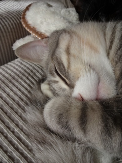20131218224208f23.jpg