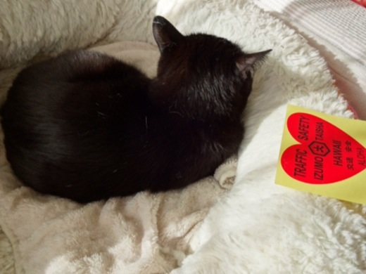 20131218224209db0.jpg