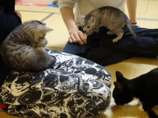 201312221704294c0.jpg
