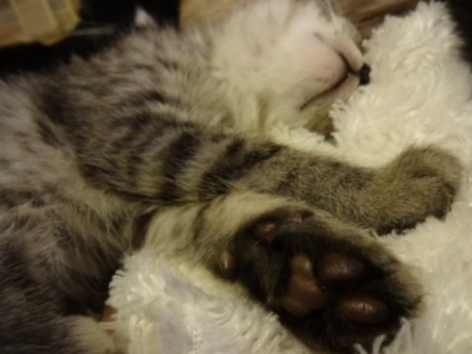 201312221706544e5.jpg