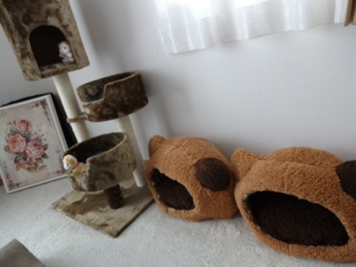 201312221707061d5.jpg