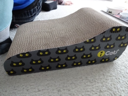 20131222170715c0e.jpg