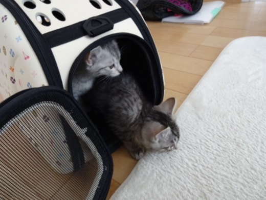 201312221713297b4.jpg
