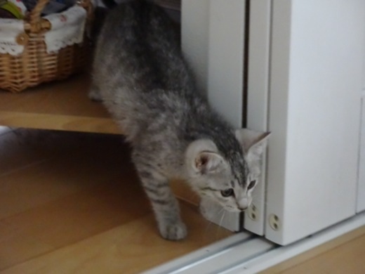 20131222171330679.jpg