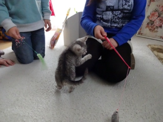 20131222171334ba2.jpg