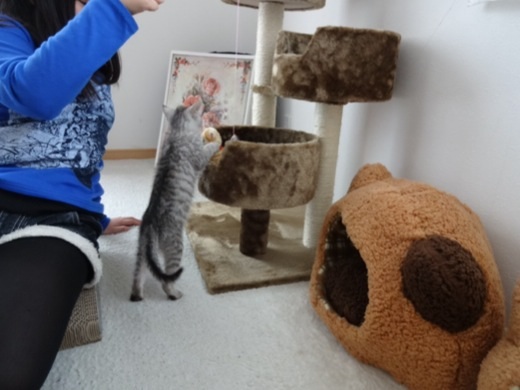 20131222171336b08.jpg