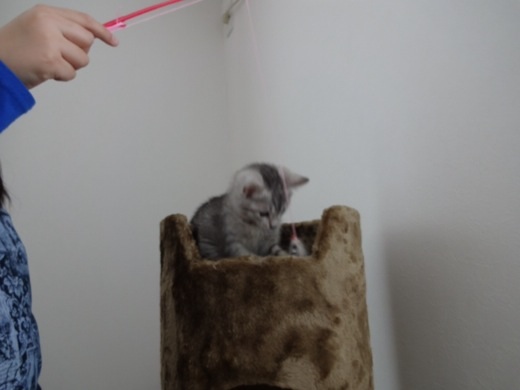 201312221717124d2.jpg