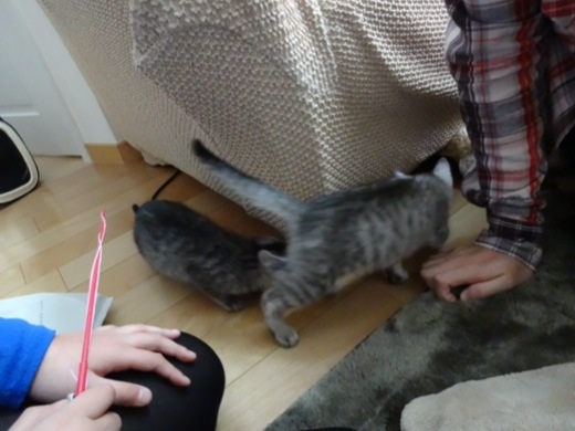 201312221717235c5.jpg