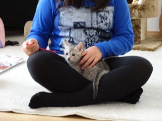 201312221717286c1.jpg