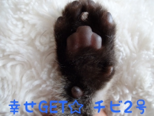 20131222173142a57.jpg