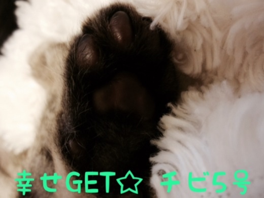 20131222173145b49.jpg