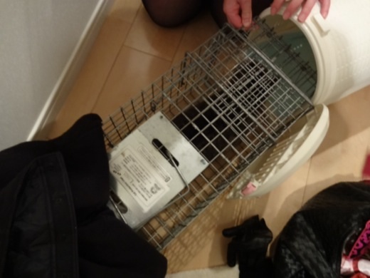 2013122400161853e.jpg