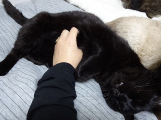 201312302130576fa.jpg