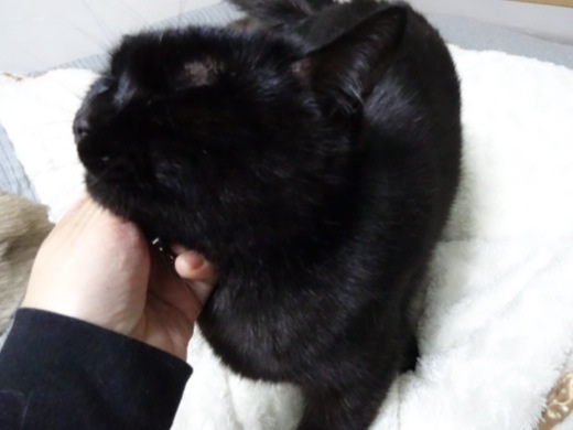 201312302131005f3.jpg