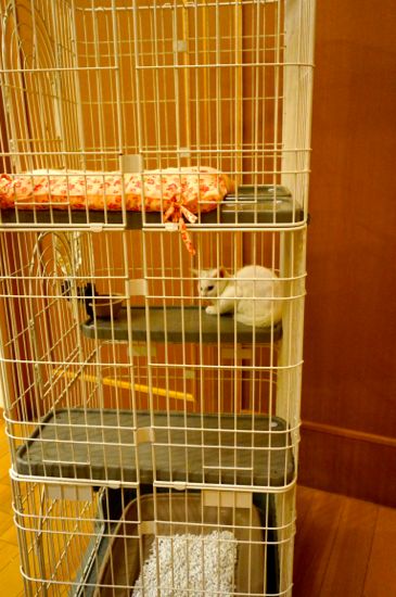 DSC04114.jpg
