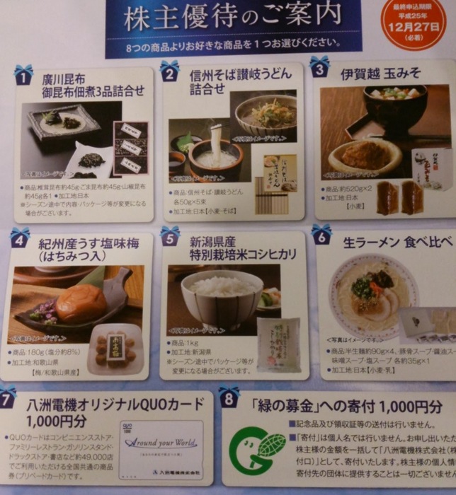 八洲電機選べる20130