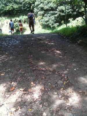 IMG_1771.jpg