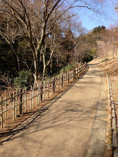 miyagase002.jpg