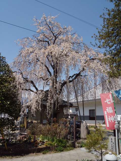 DSCN1119.jpg