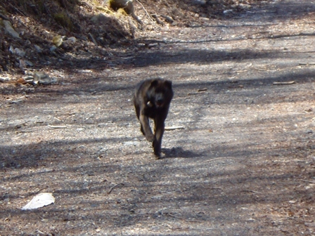 DSCN1134.jpg